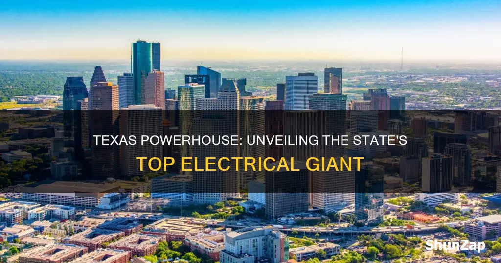 what is the largest electrical company in texas