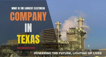Texas's Largest Electrical Company: Who's Leading the Energy Sector?