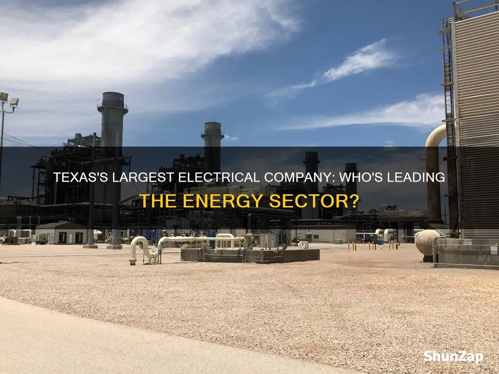 what is the largest electrical company in texas