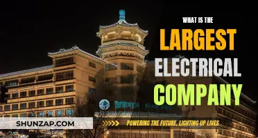 Who's the Electrical Giant? The World's Largest Electrical Company