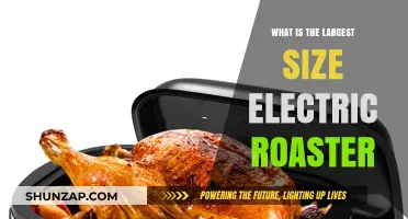 Best Large Electric Roasters for Your Kitchen