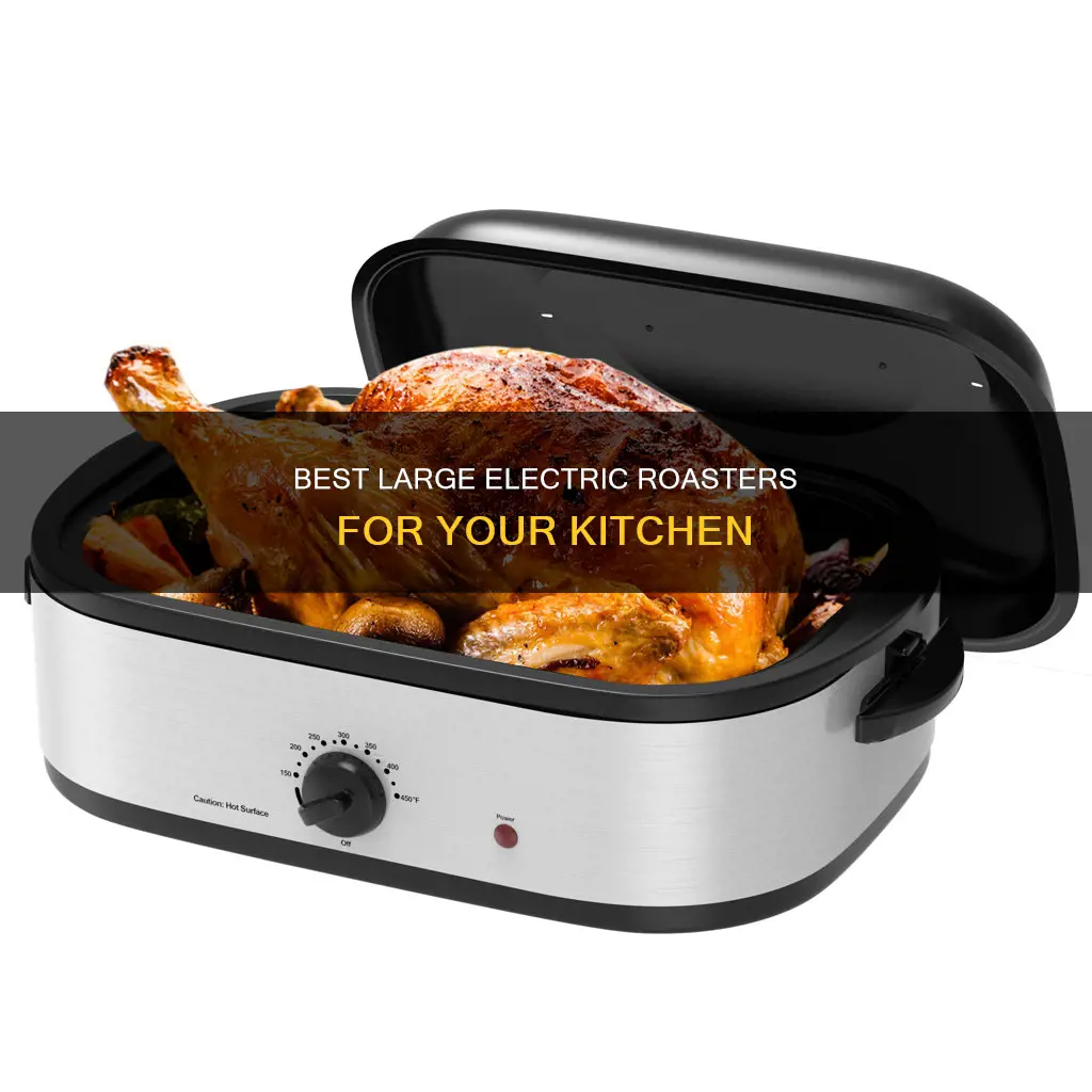what is the largest size electric roaster