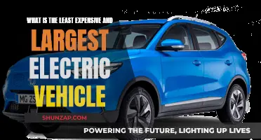 The Most Affordable, Spacious Electric Vehicle Options