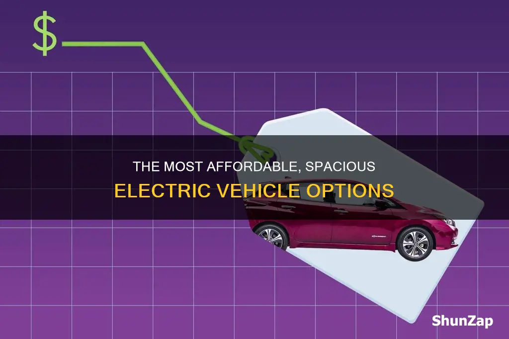 what is the least expensive and largest electric vehicle