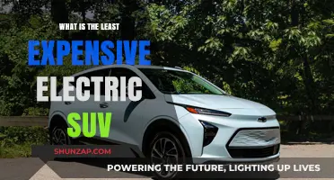 Affordable Electric SUVs: Exploring the Cheapest Options