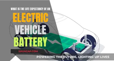 The Evolution of Electric Vehicle Batteries: Lifespan Explored