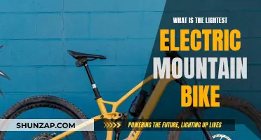 Lightest Electric Mountain Bike: Unburden Your Trail Adventure