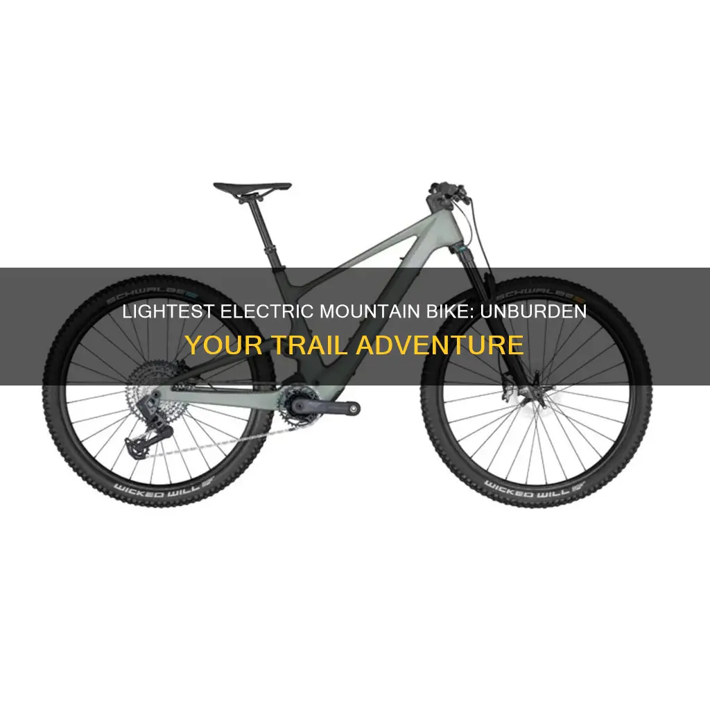 what is the lightest electric mountain bike