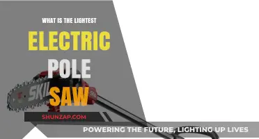Best Lightweight Electric Pole Saw Options