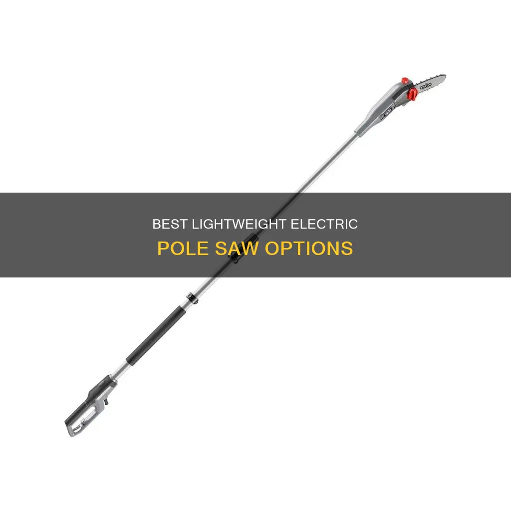 what is the lightest electric pole saw