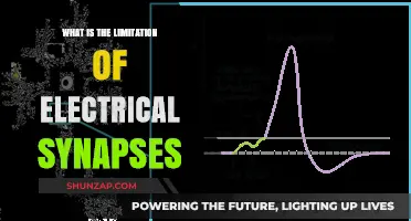 Electrical Synapses: Limited Range, Unlimited Potential?