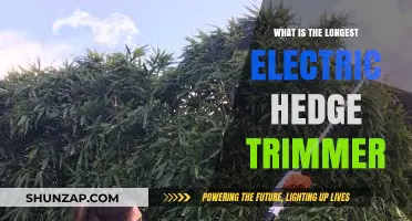 Best Extended Reach Electric Hedge Trimmers
