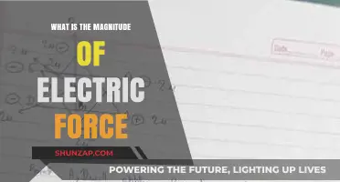 Understanding Electric Force: Magnitude and its Applications