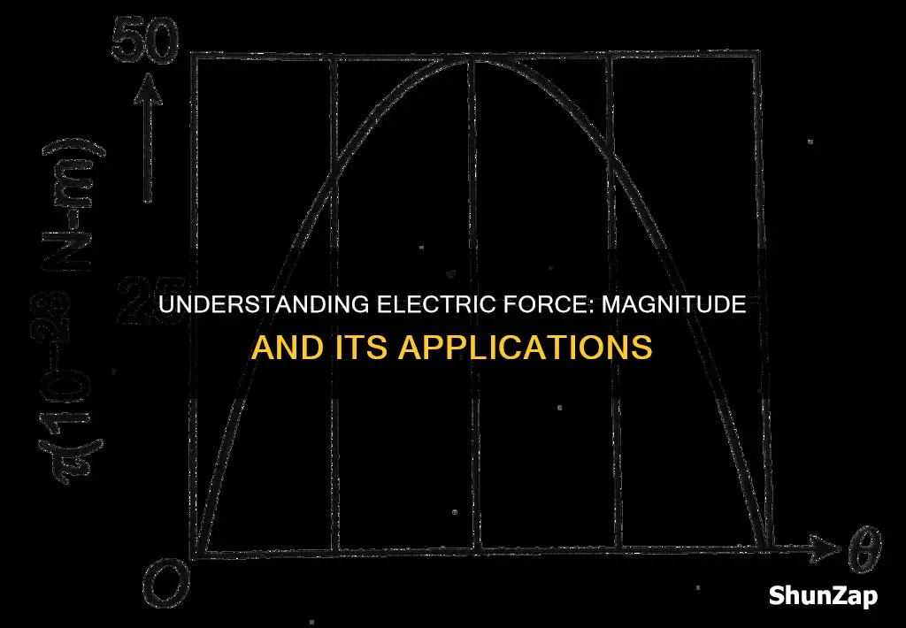 what is the magnitude of electric force