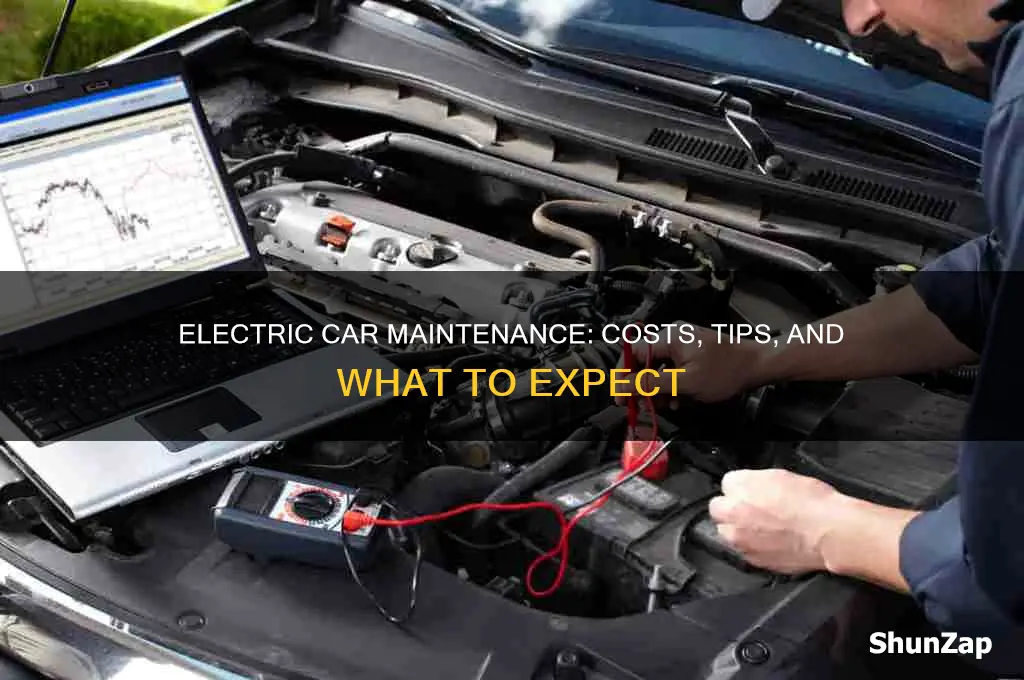 what is the maintanence on an electric car