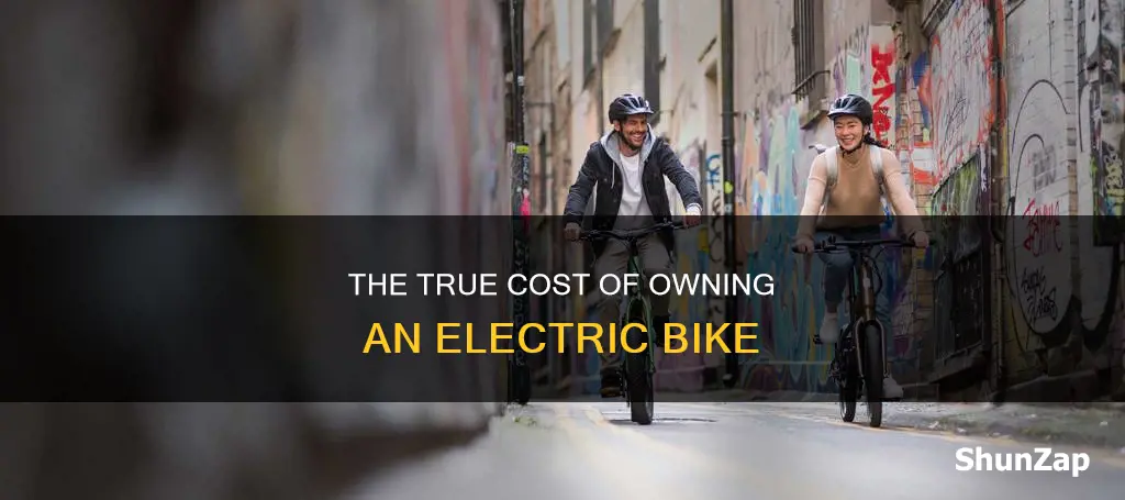 what is the maintenance cost of electric bike