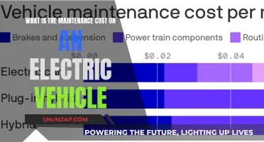 Electric Vehicle Maintenance: Understanding Long-Term Cost Savings