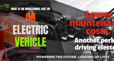 Maintenance Costs of Electric Vehicles: What You Need to Know