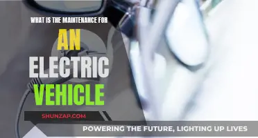 Electric Vehicle Maintenance: What You Need to Know