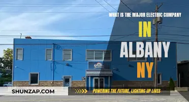 Unveiling Albany's Power: The Major Electric Company Revealed