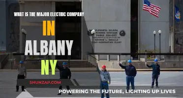 Electric Giants of Albany, NY: Who Powers the Capital Region?