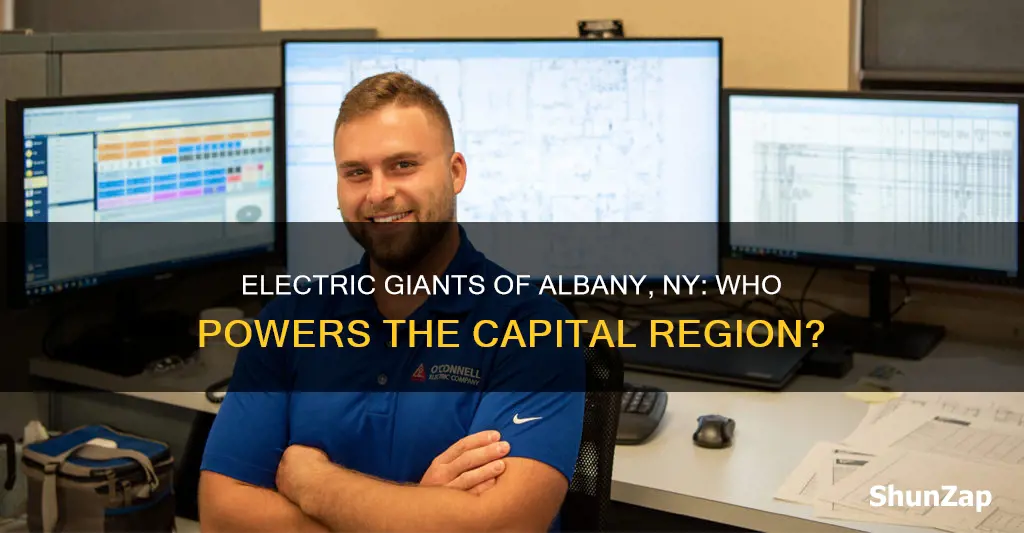 what is the major electric company in albany ny