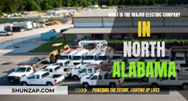 Electric Powerhouses: North Alabama's Leading Energy Provider