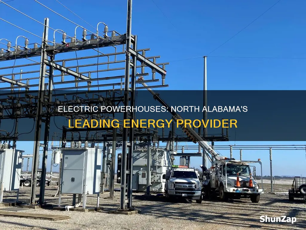what is the major electric company in north alabama
