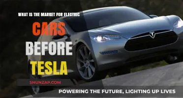 Electric Cars Before Tesla: A Look at the Early Market