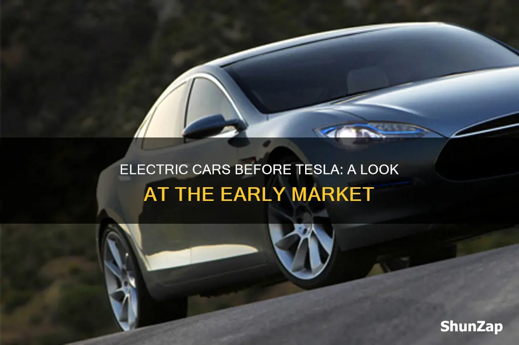 what is the market for electric cars before tesla