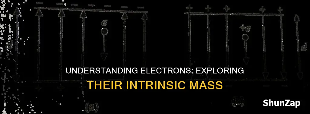 what is the mass of an electro