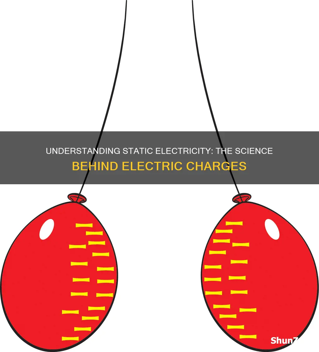 what is the mean of static electricity