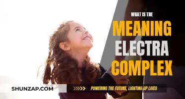 Understanding the Intricacies of the Electra Complex