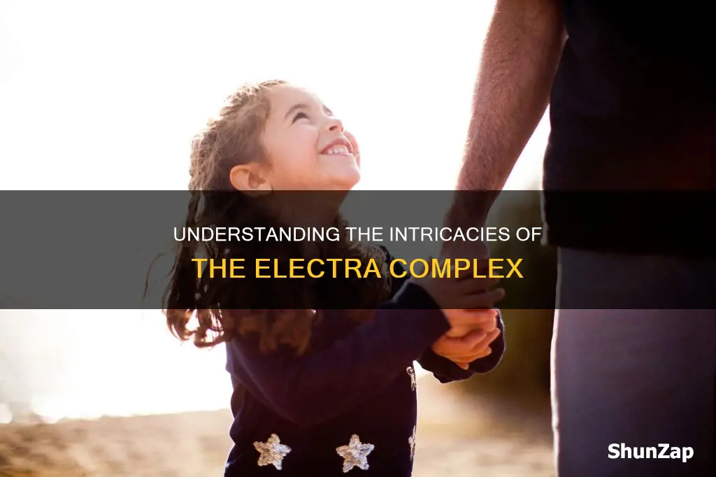 what is the meaning electra complex