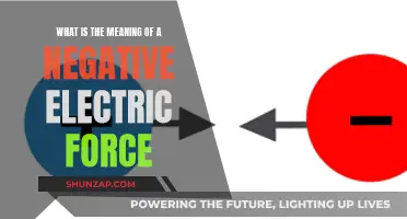 Understanding Electric Forces: Negative Electric Force Explained