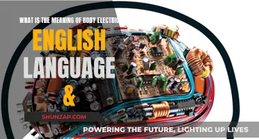 Body Electric: Language's Electric Current