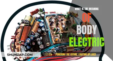 Body Electric: Exploring the Energy Within Us