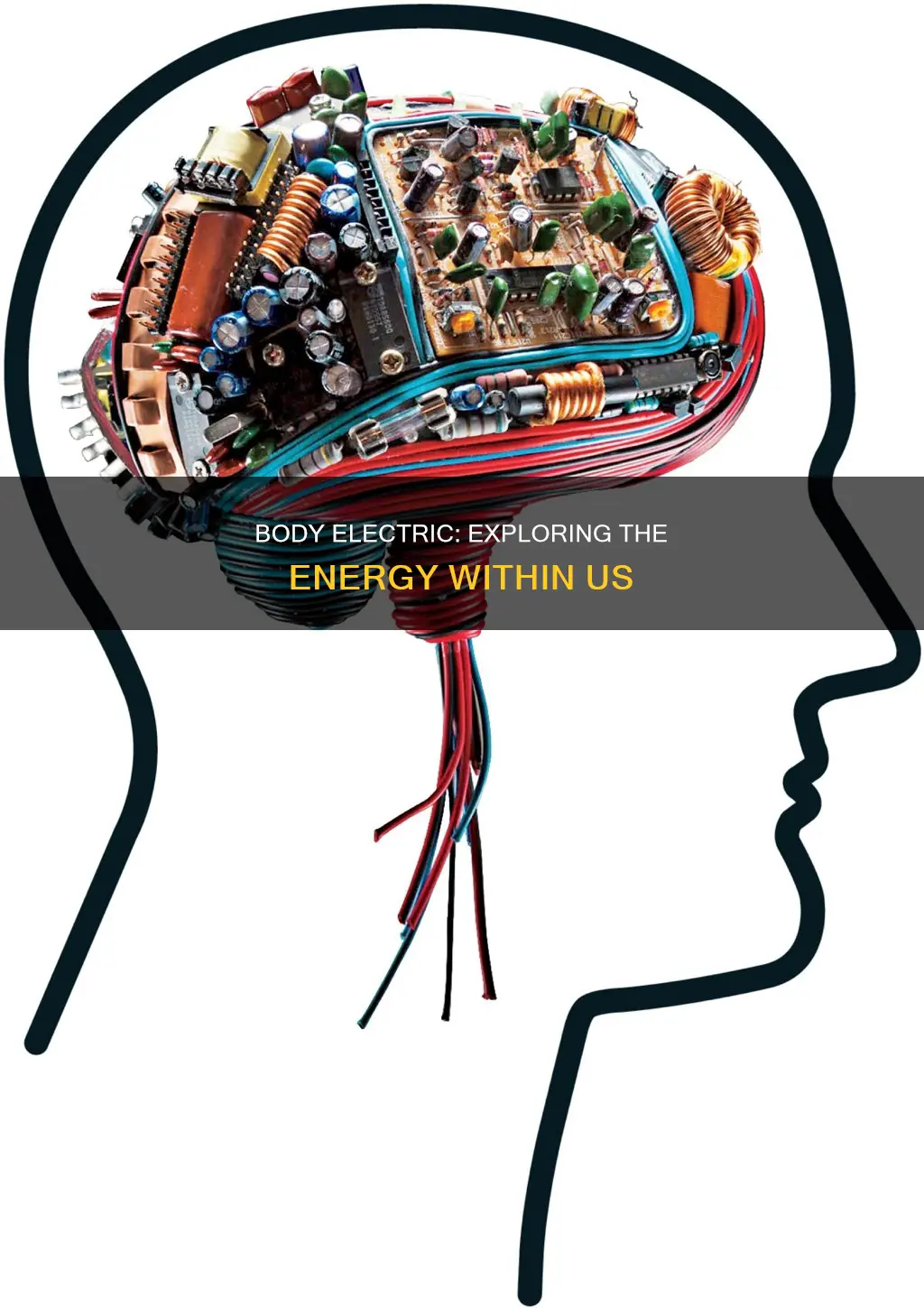 what is the meaning of body electric