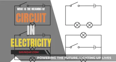 Electric Circuit: Understanding the Flow of Electricity