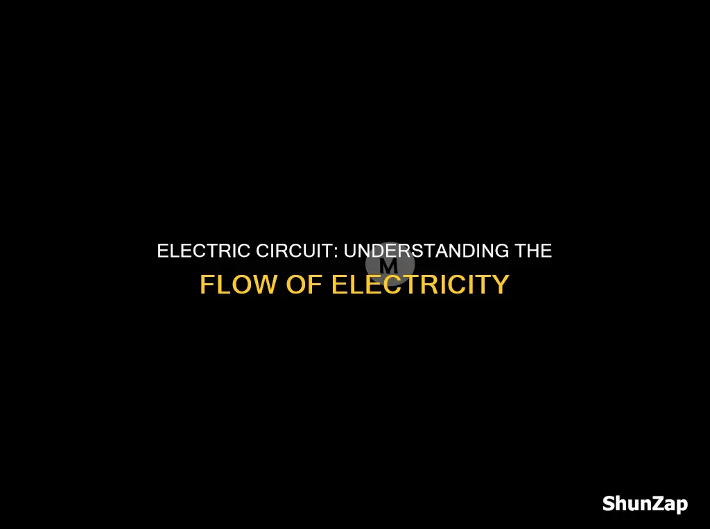 what is the meaning of circuit in electricity