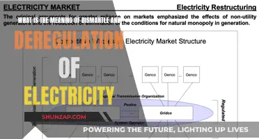 Deregulation and Dismantling: Electricity's Future Explored