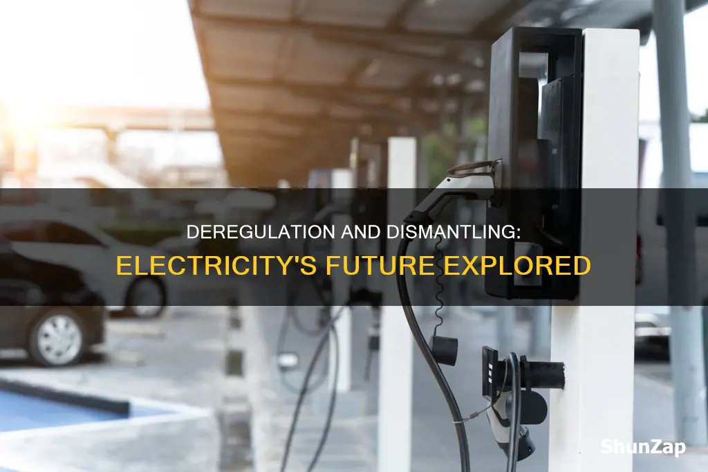 what is the meaning of dismantle and deregulation of electricity