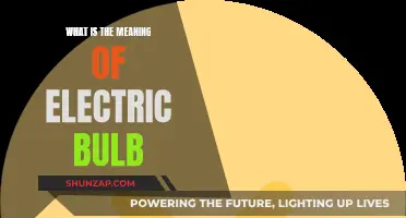 The Electric Bulb: Illuminating Its Meaning and Significance