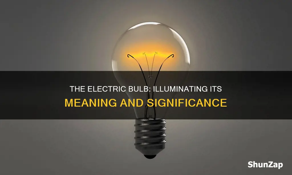 what is the meaning of electric bulb