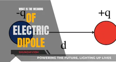 Understanding Electric Dipoles: Nature's Fundamental Force Carriers