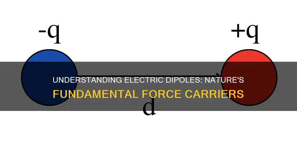 what is the meaning of electric dipole
