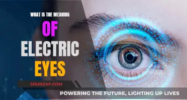 Electric Eyes: Understanding the Power of Visual Surveillance