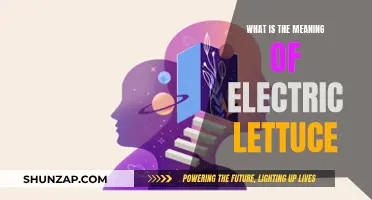 The Electric Lettuce: A Psychedelic Trip Explained