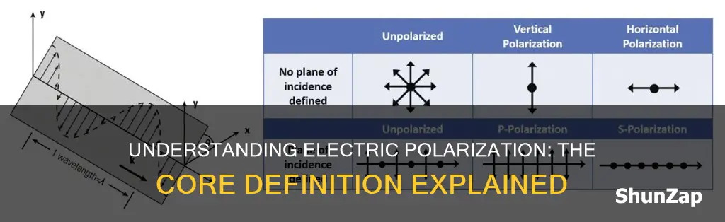 what is the meaning of electric polarization