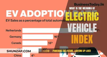 Understanding the Electric Vehicle Index: Performance and Potential